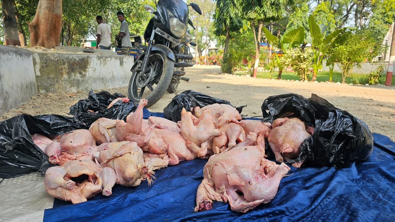 नेपालगञ्जमा भारतबाट ल्याइएको ६० किलो बोईलर कुखुराको मासु बरामद