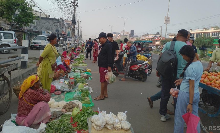 थारु महिलाको पौरख: नेपालगंजमा दैनिक लाग्छ अर्ग्यानिक तरकारीको मिनी बजार