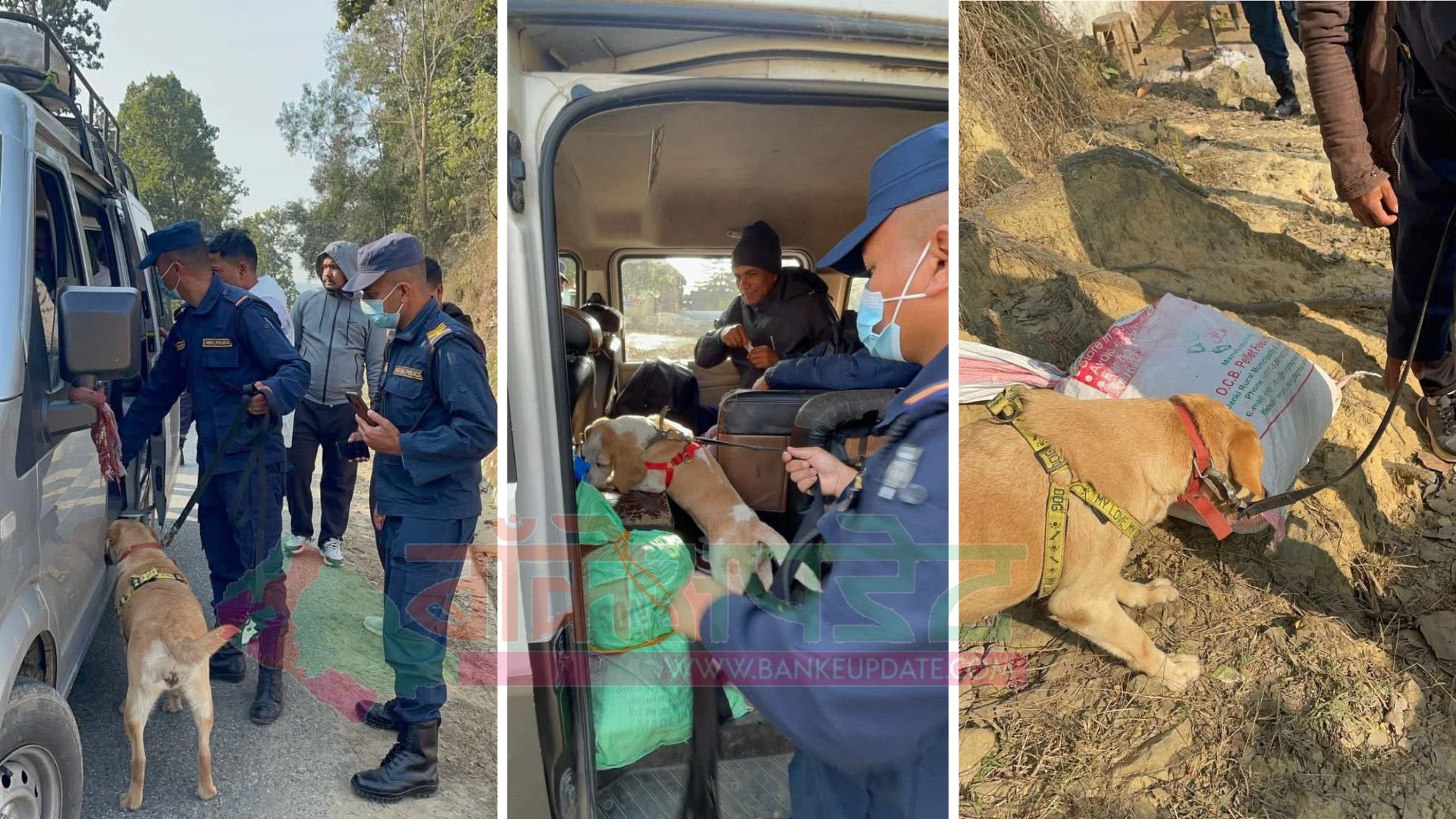 तालिम प्राप्त कुकुरसहितको टोलीद्वारा सुर्खेतमा चेकिङ, एक युवक ब्राउनसुगरसहित पक्राउ